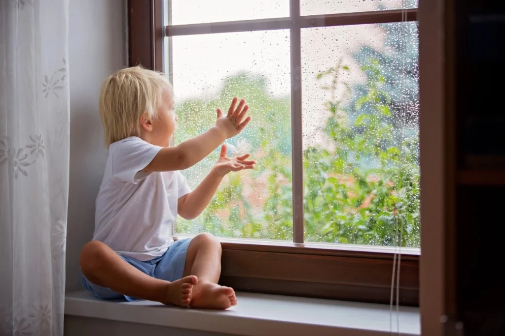 The Best Child and Pet Safety Features for Windows and Doors Child and Pet Safety Features for Windows and Doors