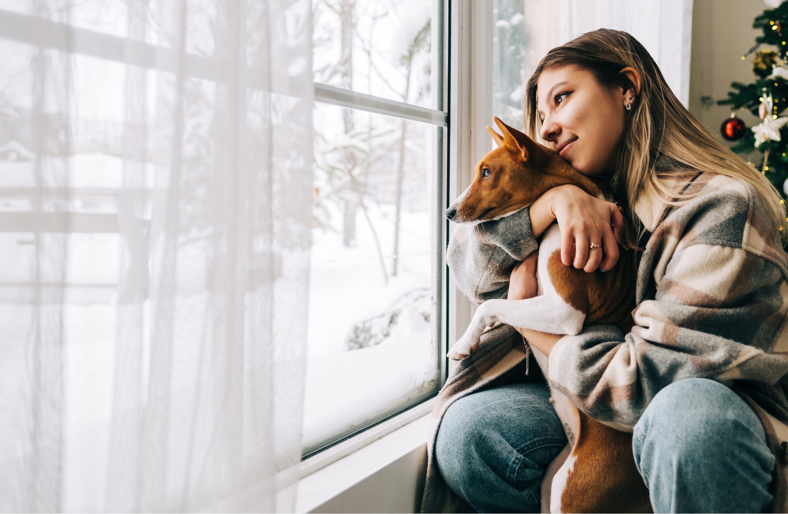 6 Reasons Winter Can Be a Great Time for Whole-Home Window Replacement
