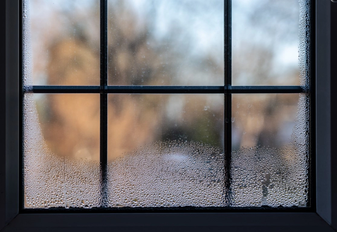 Why Condensation Happens on Windows — and How to Stop It